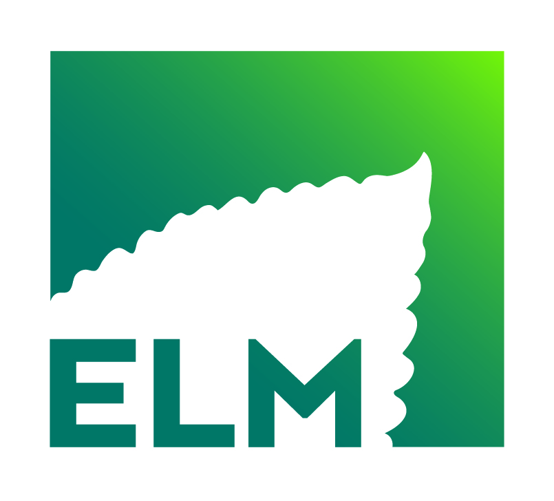 ELM Cours - ENGLISH LEARNING MENTORING